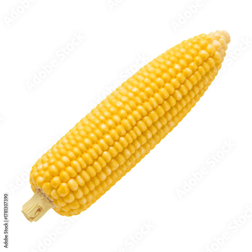 Bright Yellow Corn on the Cob, Fresh and Ready for Cooking, Showcasing a Rich...