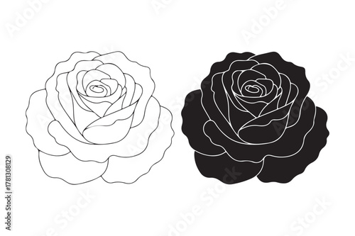 Contrasting black and white rose illustrations