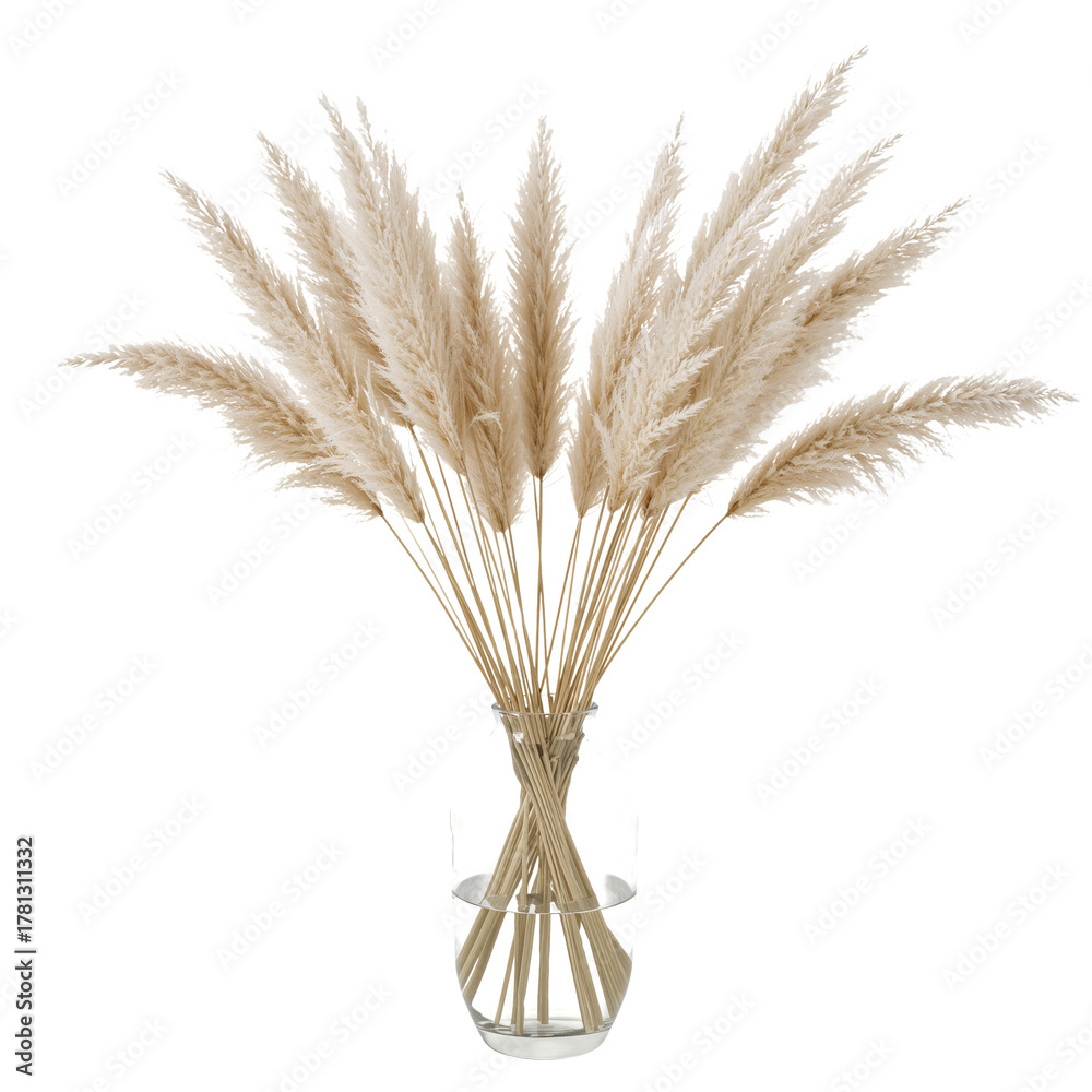 Fototapeta premium Pampas Grass Bouquet in a Clear Glass Vase for Home Decor.