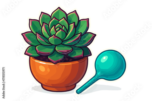 Cute potted succulent plant with a watering tool for indoor gardening and houseplant care