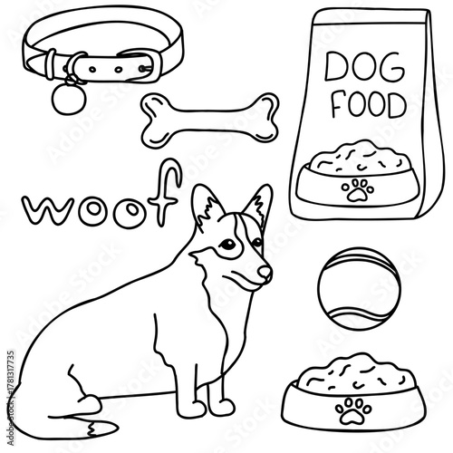 Hand drawn vector doodle set with cute corgi and items for dogs