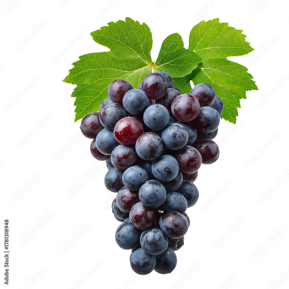Fototapeta premium Fresh Bunch of Dark Purple Grapes With Green Leaves on a White Background