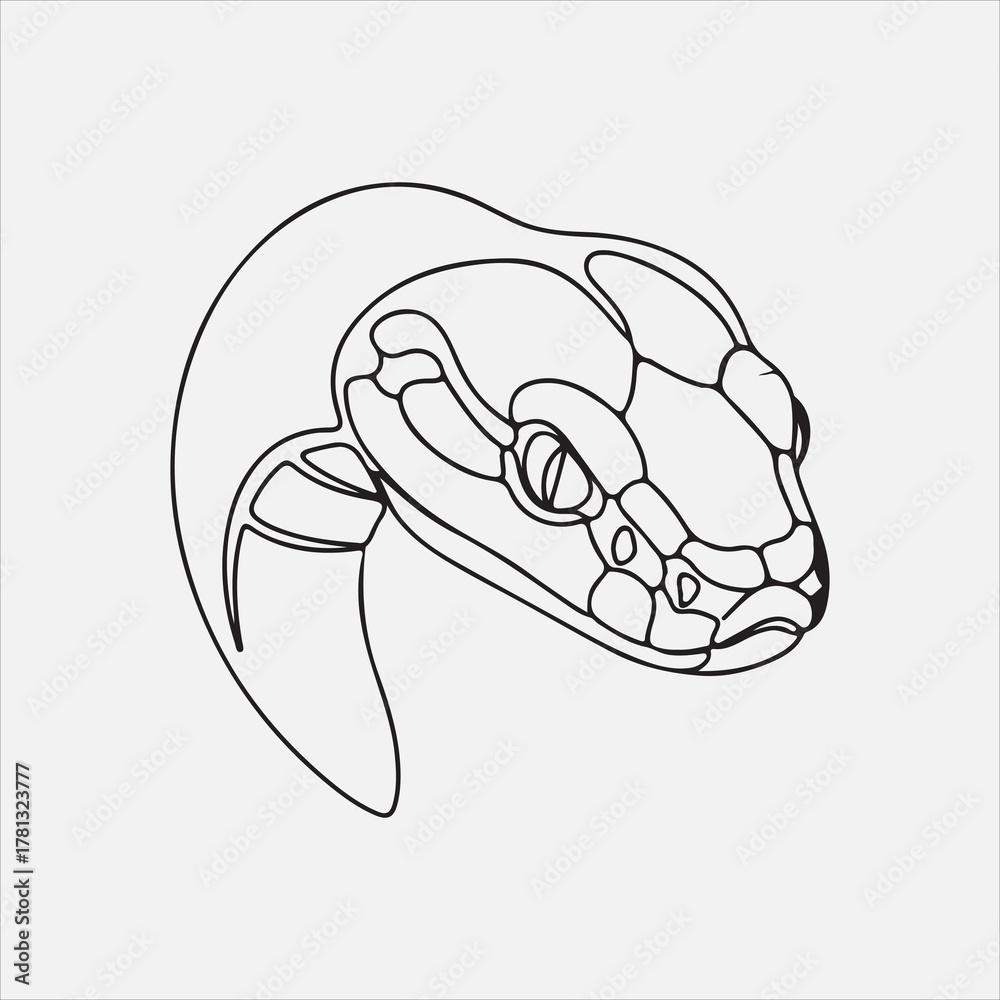 Fototapeta premium Beautiful snake head line art vector design