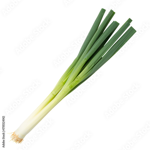 Fresh Green Onions Arranged Neatly, Showing Crisp Stalks and Clean Roots.