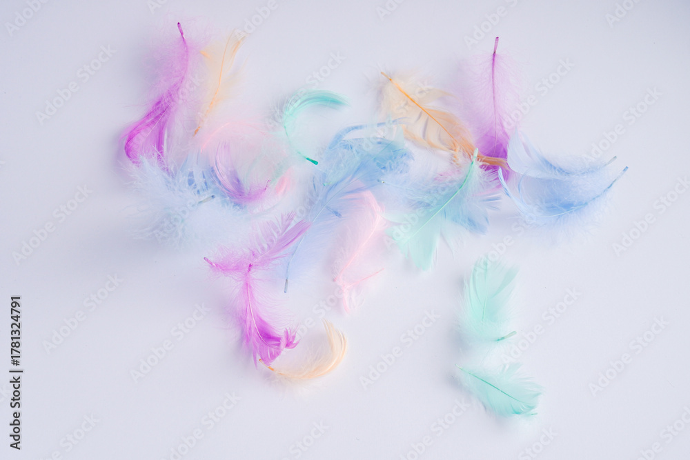 Obraz premium Close-up of soft colored fluff on a white background