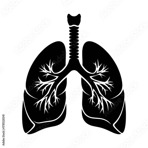 Black and white illustration of human lungs and trachea, representing respiratory system and breathing