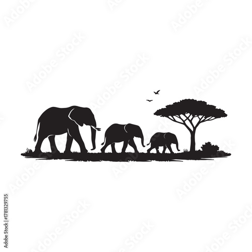 elephants in the wild