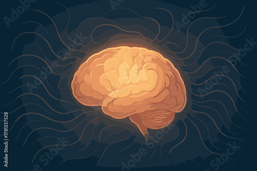Detailed illustration of a human brain with highlighted contours, set against a stylized dark background.