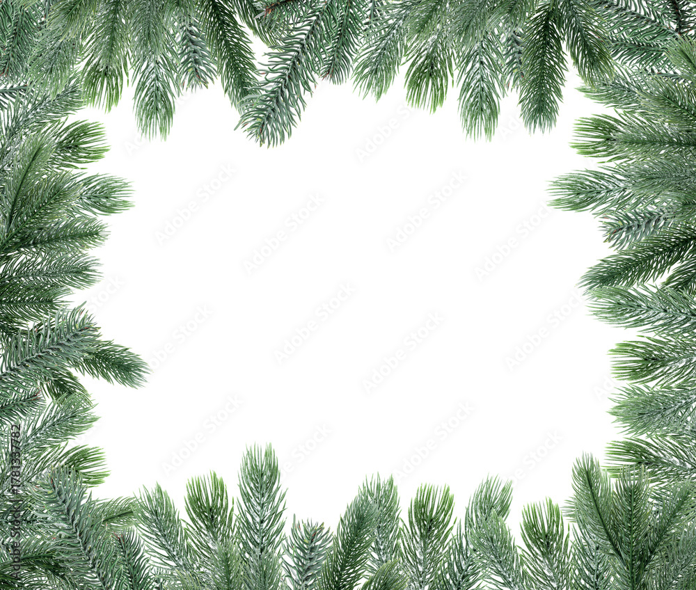 Fototapeta premium Christmas fir tree branches isolated on white