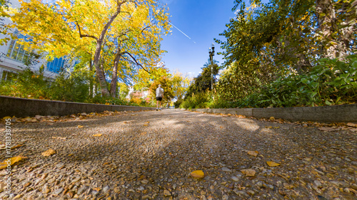 Autumn foliage on a peaceful park trail with golden sunlight