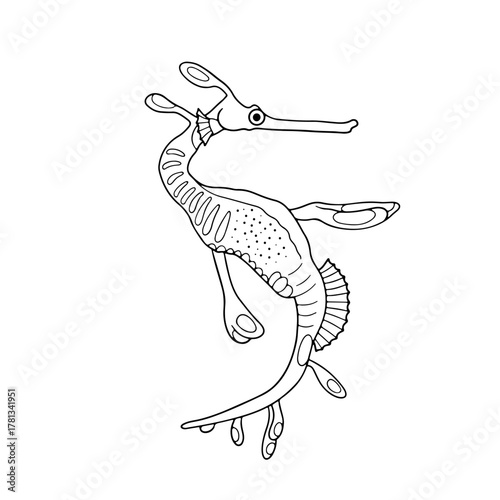 Hand drawn cartoon common seadragon black and white line art vector illustration