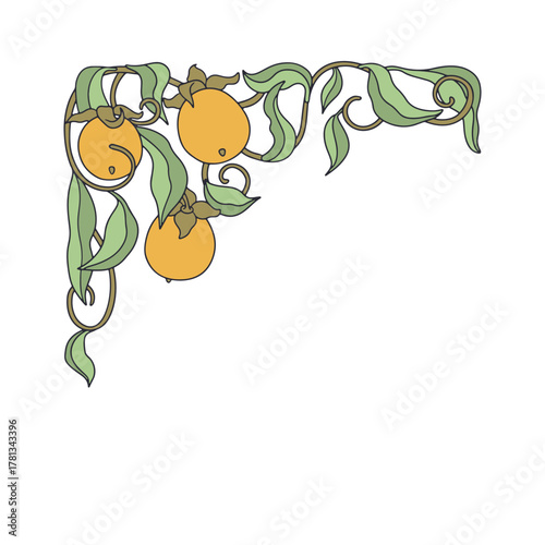 Art nouveau style persimmon branch hand drawn frame. Vintage fruit and leaves border