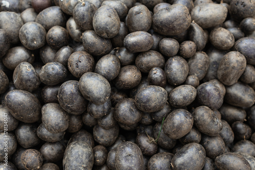 Purple potatoes at a vibrant greenmarket