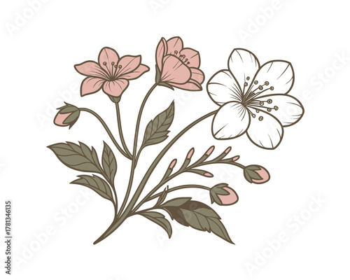Delicate Floral Arrangement with Pink and White Blossoms and Green Leaves Vector Illustration Springtime Beauty