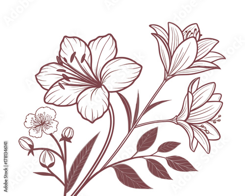 Elegant Floral Illustration with Delicate Lily Blossoms and Cherry Flowers A Detailed Line Art Design for Botanical Themes