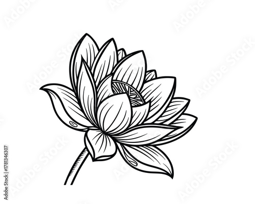 Elegant Lotus Flower Illustration in Black and White for Meditation and Peaceful Design Projects Isolated on White Background