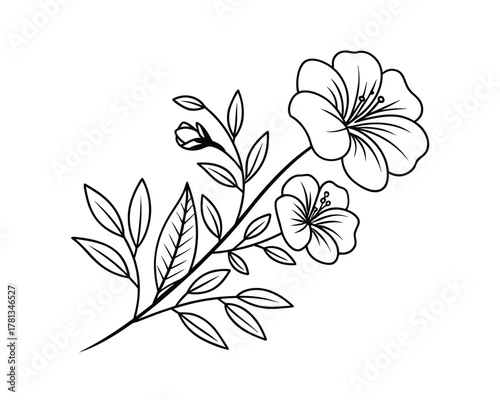 Elegant Floral Branch with Open Blossoms and Delicate Leaves Black and White Design Perfect for Graphic Design