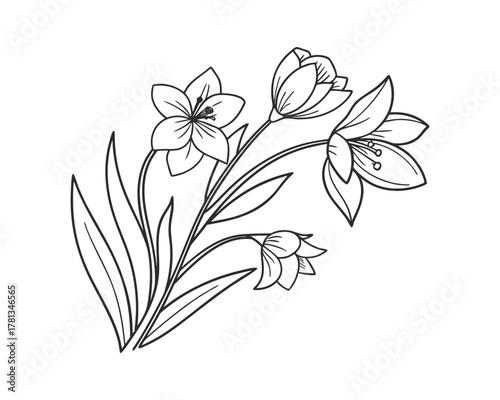 Elegant floral line art illustration featuring blooming flowers and delicate leaves for creative design projects and botanical themes