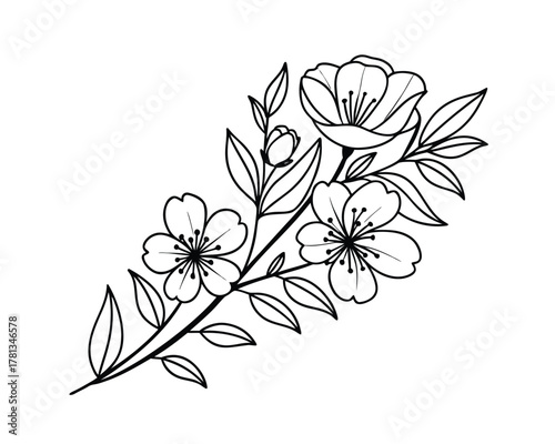 Elegant Floral Line Art Design with Blooming Flowers and Delicate Leaves Isolated on White Background Perfect for Invitations and Decorations