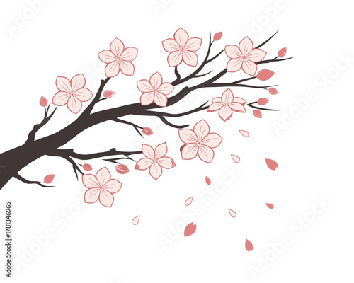 Elegant Cherry Blossom Branch with Falling Petals Illustration on White Background Springtime Floral Design