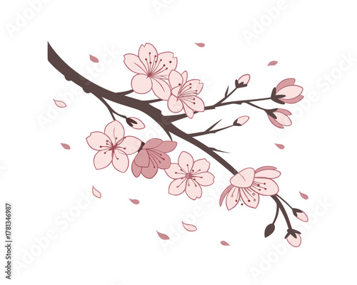Delicate Pink Cherry Blossom Branch with Falling Petals Springtime Elegance Floral Illustration Romantic Design Japanese Art Style Isolated on White