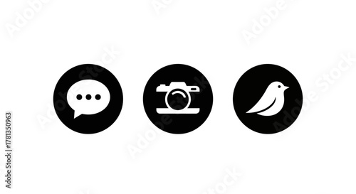 Monochrome social media icons: chat message, camera, bird logo in circular design