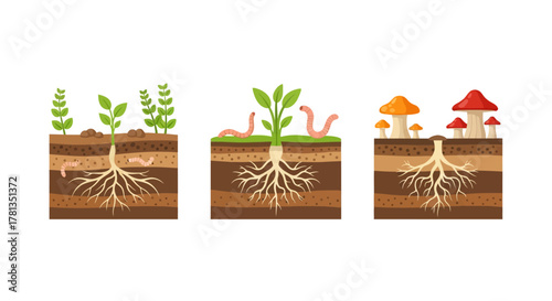 Cross-section of soil layers with roots, worms, and mushrooms