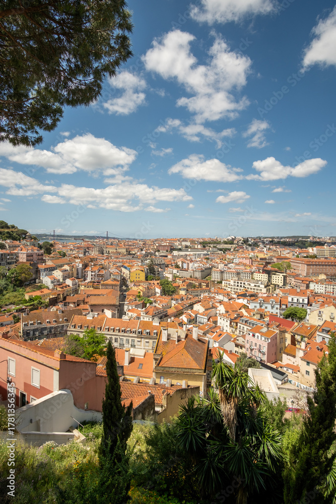Fototapeta premium Framed view down at the red tile roofs of Lisbon, Portugal