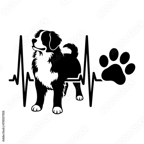 Bernese Mountain Dog EKG