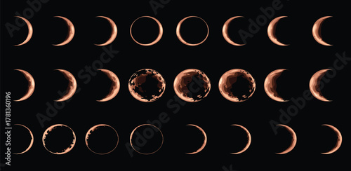 Collection of ten flat vector botanical icons. Diverse plant leaves and foliage in white on colorful circles, perfect for nature-themed graphic design projects and decorative elements