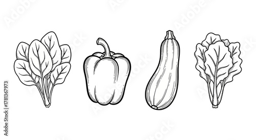 Hand drawn vegetables: spinach, bell pepper, zucchini, lettuce in black and white