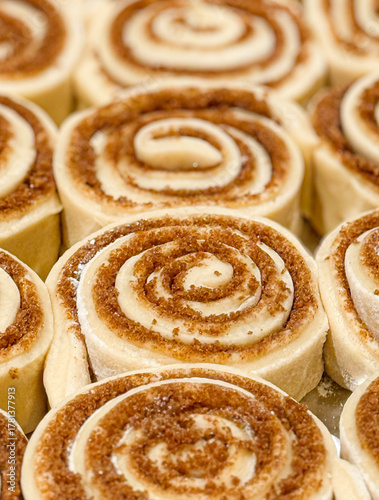 A Tray Filled with Unbaked Raw Cinnamon Rolls Ready to be Baked in the Oven