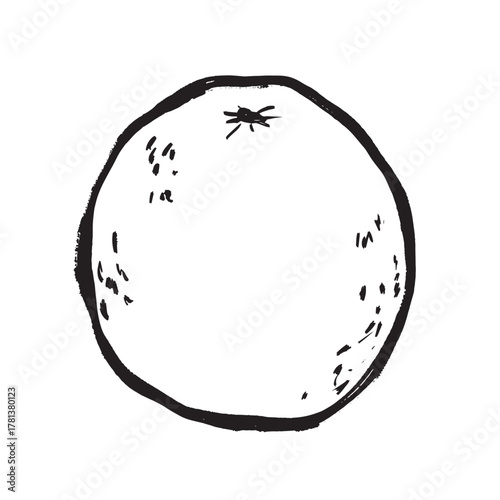 Isolated orange fruit study highlighting natural rustic appearance