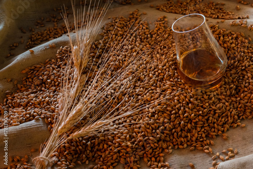 Overhead view of a glass of whiskey surrounded by raw barley grain and wheat ears on burlap. Rustic still life emphasizing natural ingredients