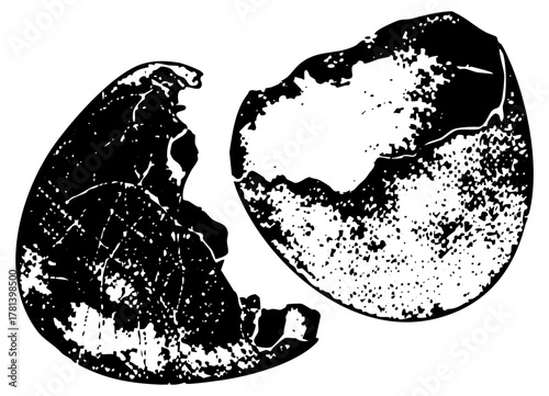 Broken reveals emergence in springtime