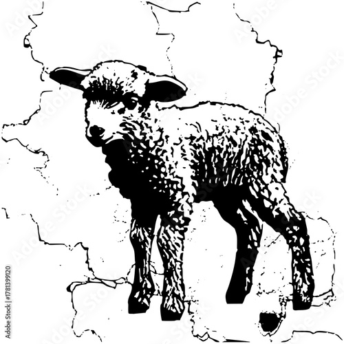 Lamb stands peacefully in a landscape
