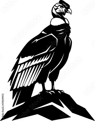 Silhouette of a majestic andean condor standing tall
