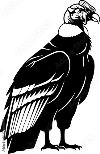 Silhouette of a majestic andean condor standing tall
