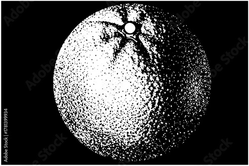 Orange halves reveal interior in halftone