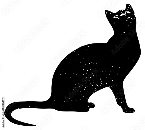 Cat sits calmly in speckled silhouette