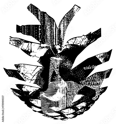 Hands cradle seedling botanical illustration