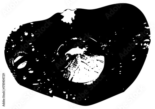 Mushroom Illustrates Texture in a Botanical Study