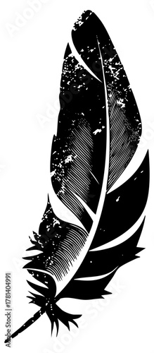 Feather floats texture