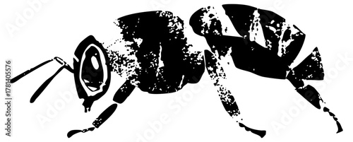 Bee illustrates flight in texture