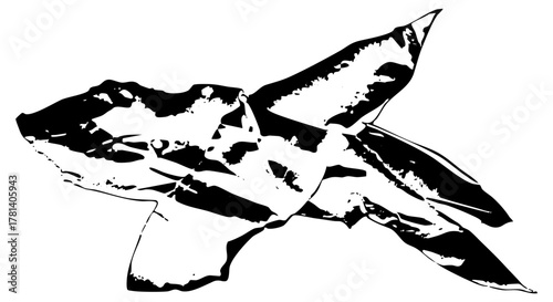 Shark Swims Underwater in Ocean