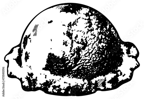 Lemon illustrates texture in botanical study