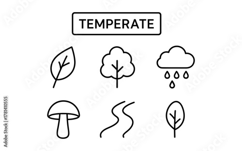 Linear icons of temperate climate: leaf, tree, rain cloud, mushroom, river