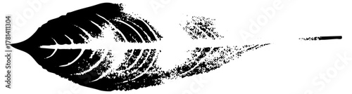 Leaf transforms into cigarette in illustration