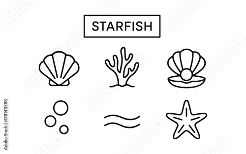 Sea life icons featuring starfish, seashells, and coral in minimalist style