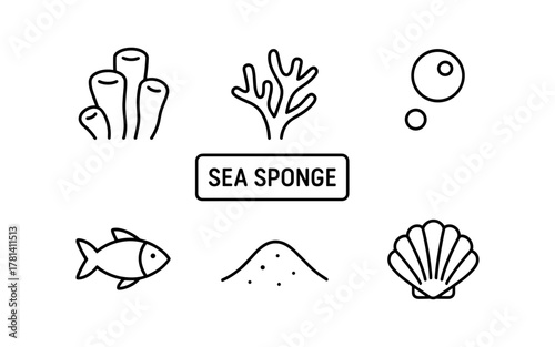 Minimalist sea sponge icons with ocean elements in linear style